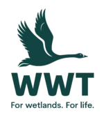 Wildfowl and Wetlands Trust